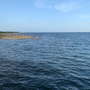 Meet your Posher, Kaylee